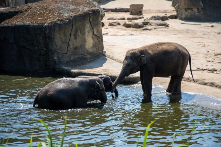 Photo family and love