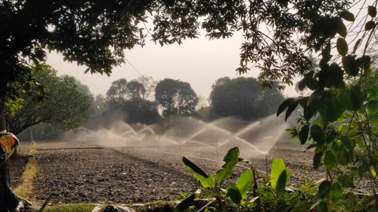 Photo reduce water consumption agriculture