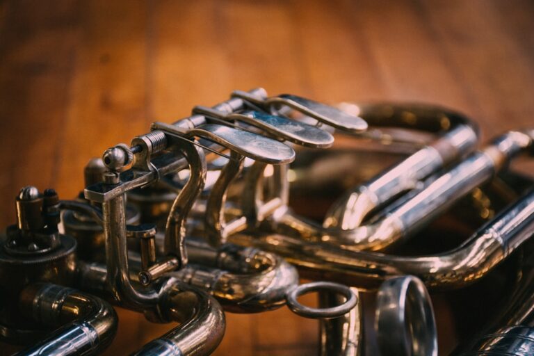 Photo care for brass instruments