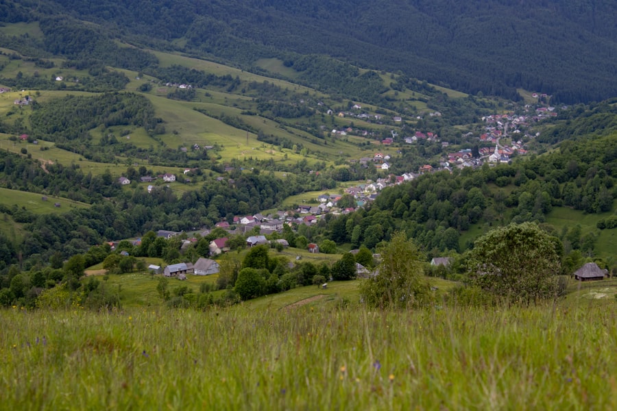 motivația