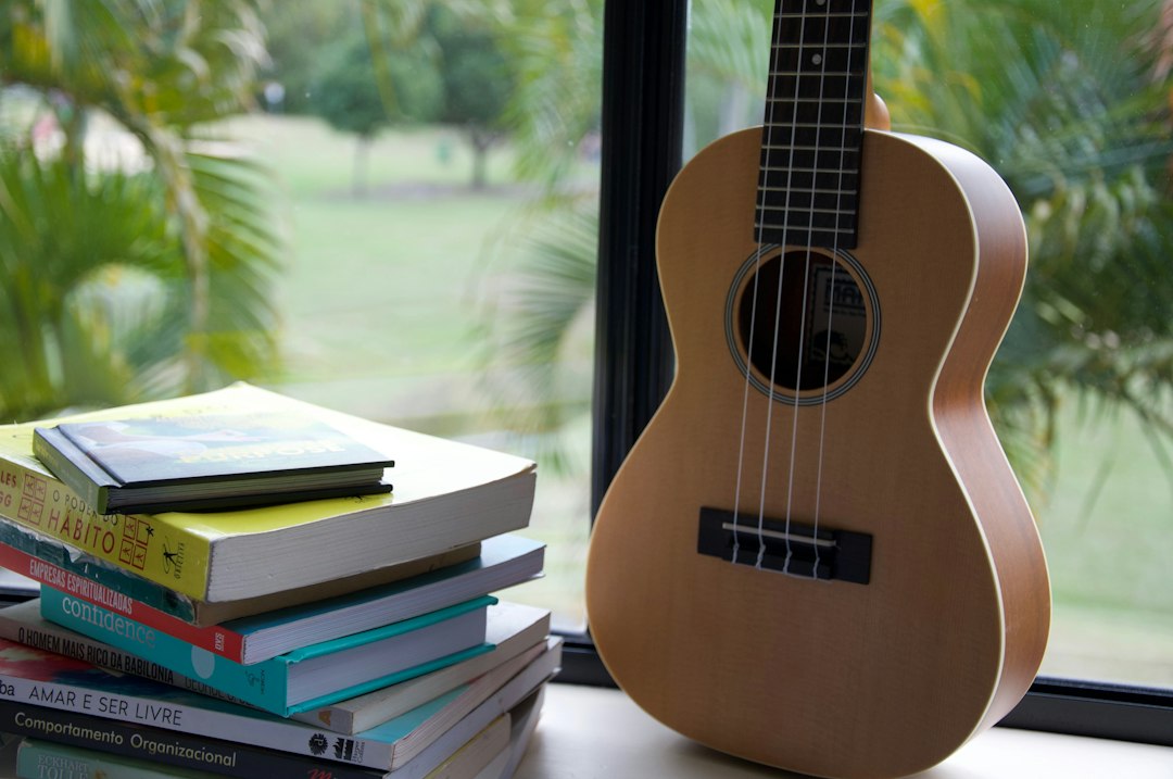 Photo ukulele interpretation
